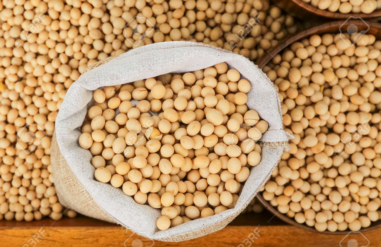 Soyabean